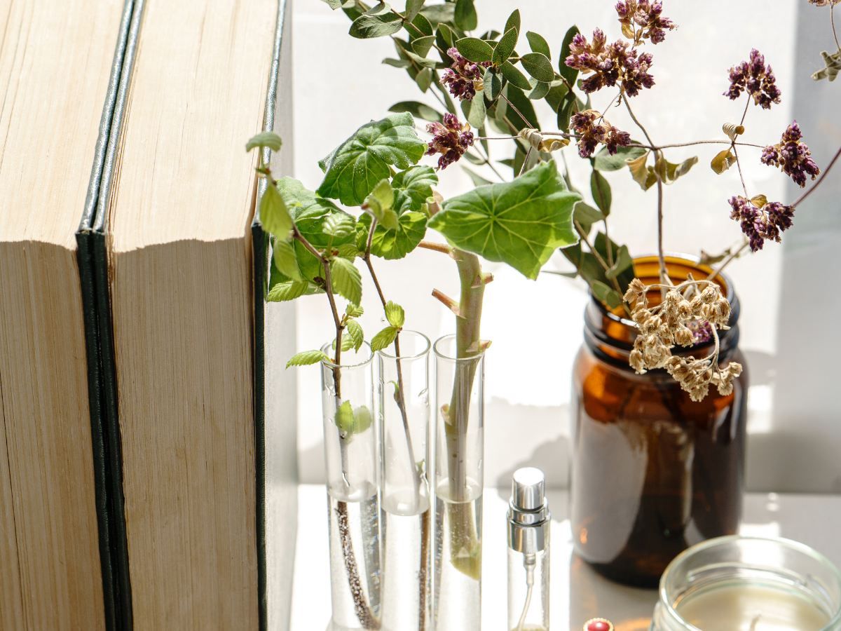 18 Questions You Can Ask Your Spirit Guides